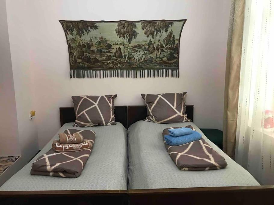 Lada Guest House تبليسي المظهر الخارجي الصورة